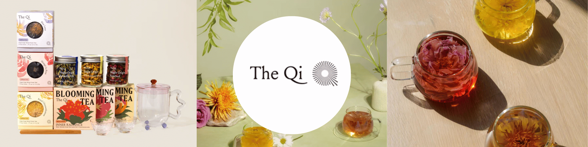 The Qi