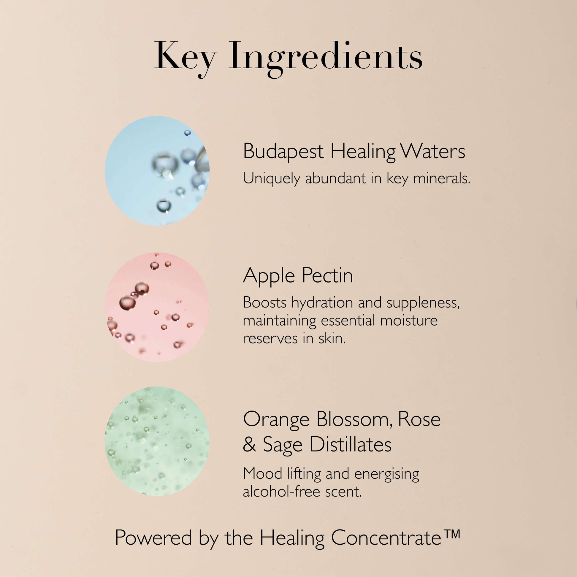 Queen of Hungary Mist | Omorovicza