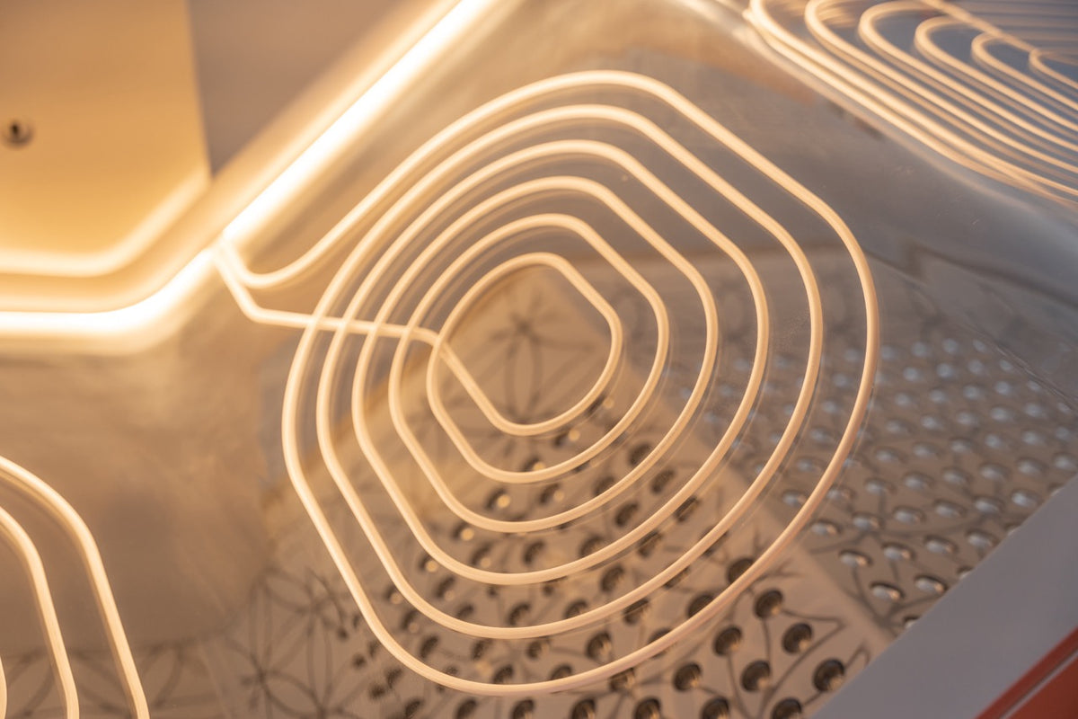 Ammortal Chamber | Ammortal