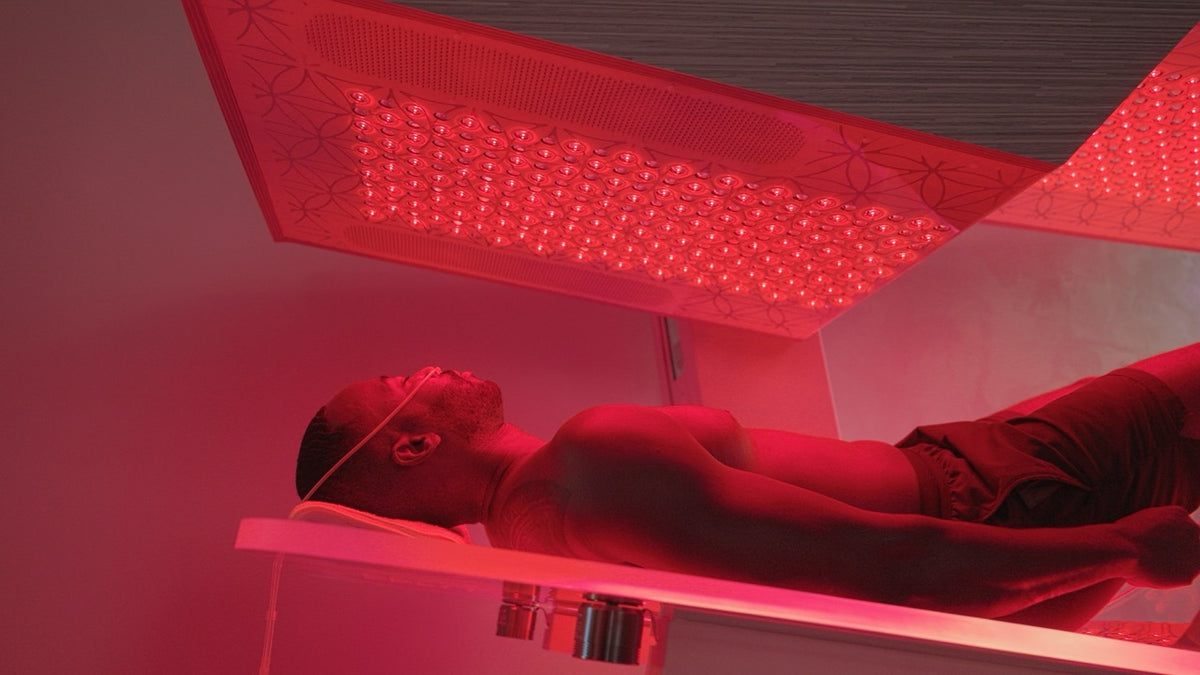 Ammortal Chamber | Ammortal