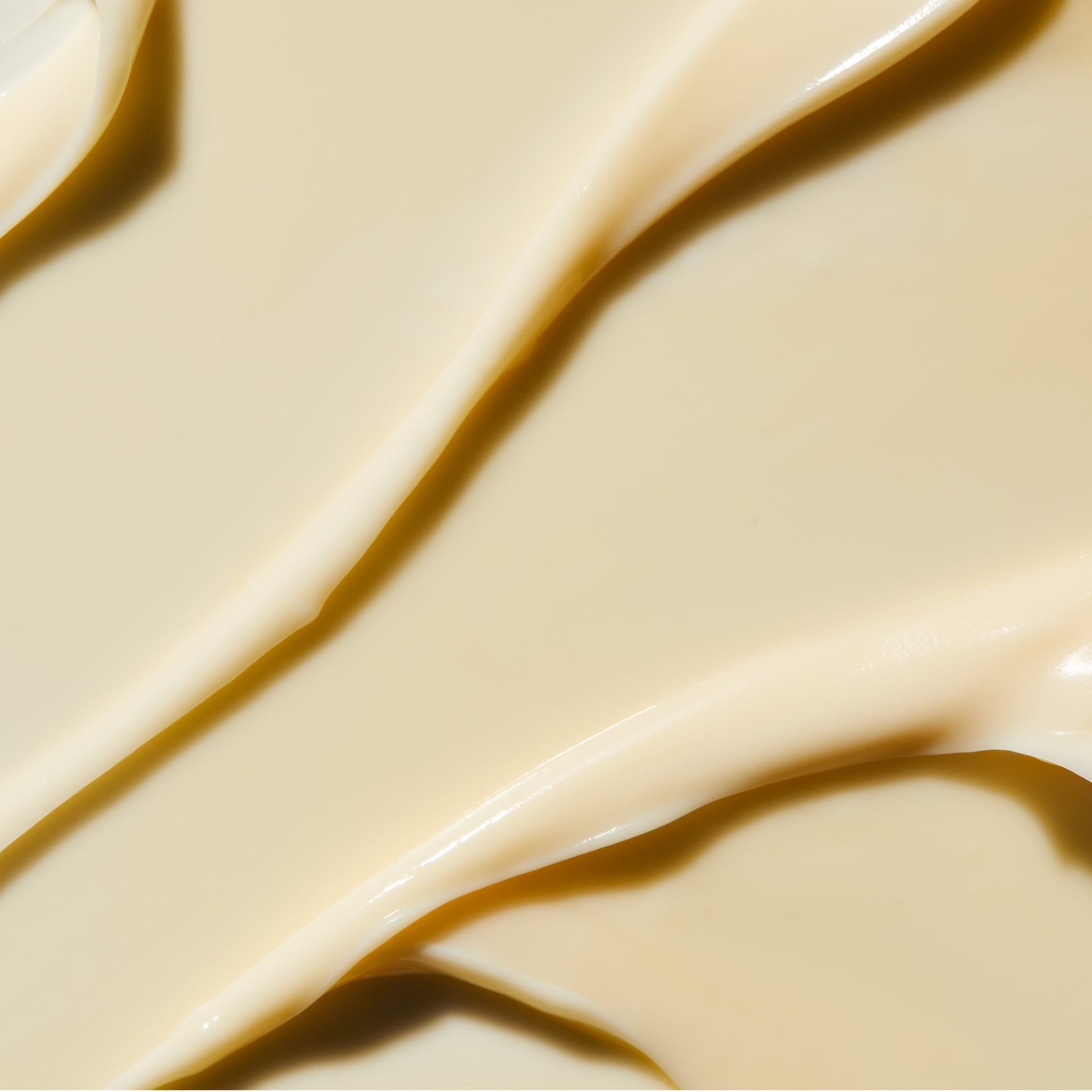 Rejuvenating Night Cream | Omorovicza