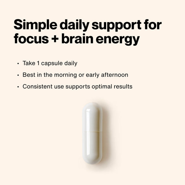 White capsule pictured with instructions for Acetyl L-Carnitine usage recommending one capsule daily, best taken in the morning or early afternoon for focus and brain energy support.