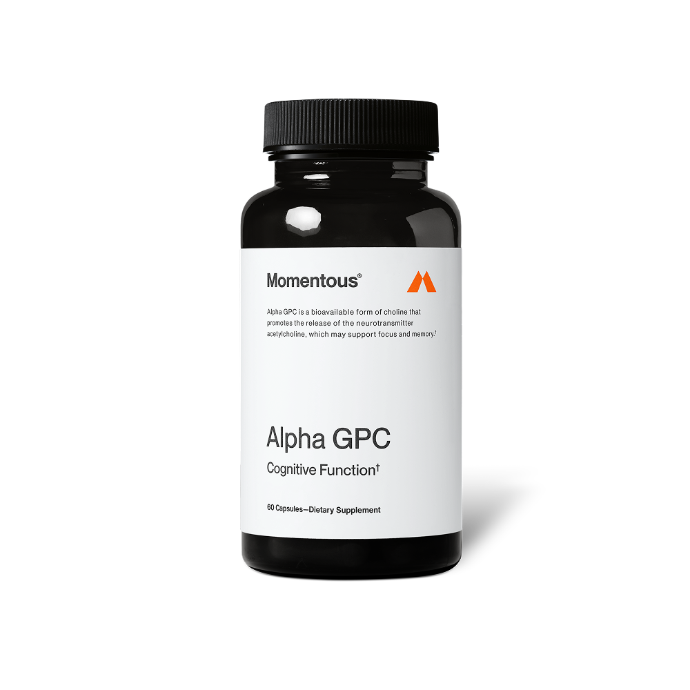 Bottle of Alpha GPC dietary supplement capsules designed to support cognitive function and brain health with a clean white and black label.
