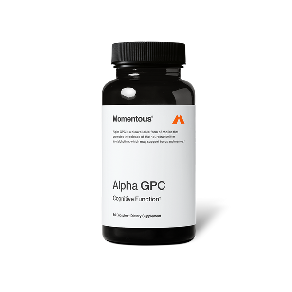 Bottle of Alpha GPC dietary supplement capsules designed to support cognitive function and brain health with a clean white and black label.