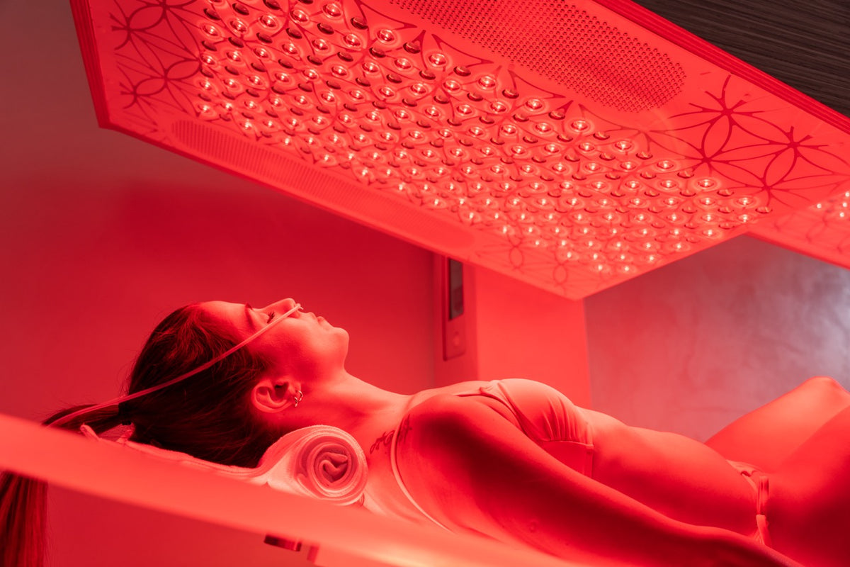 Ammortal Chamber | Ammortal