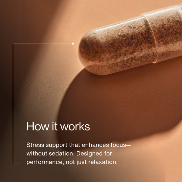 Close-up of a translucent capsule filled with powdered Ashwagandha, highlighting its stress support benefits that enhance focus and promote performance without sedation.