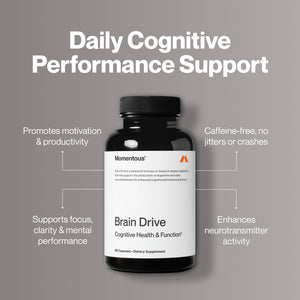 Brain Drive