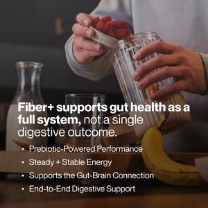 Person adding raspberries into a glass blender container with bananas nearby, promoting Fiber+ for gut health, prebiotic support, stable energy, and digestive wellness supplements.