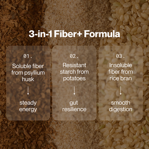 Close-up image showing the 3-in-1 Fiber+ formula highlighting soluble fiber from psyllium husk for steady energy, resistant starch from potatoes for gut resilience, and insoluble fiber from rice bran for smooth digestion.