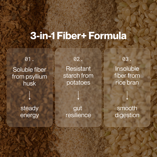 Close-up image showing the 3-in-1 Fiber+ formula highlighting soluble fiber from psyllium husk for steady energy, resistant starch from potatoes for gut resilience, and insoluble fiber from rice bran for smooth digestion.