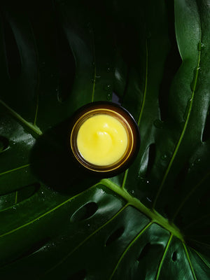 Ginger Turmeric Cleansing Balm | True Botanicals in a small open jar with smooth yellow balm inside, placed on a large green tropical leaf with water droplets.