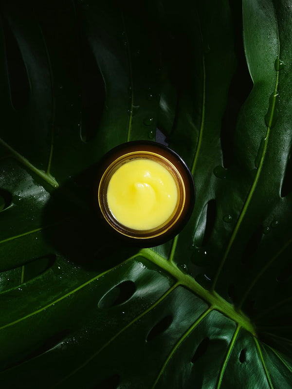 Ginger Turmeric Cleansing Balm | True Botanicals in a small open jar with smooth yellow balm inside, placed on a large green tropical leaf with water droplets.