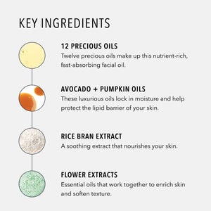 Close-up of text detailing key ingredients for Moisture Reset | HydroPeptide, including twelve precious oils, avocado and pumpkin oils, rice bran extract, and flower extracts for skincare benefits.