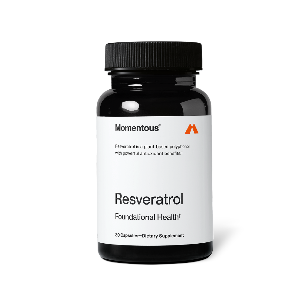 Black bottle of Resveratrol dietary supplement with white label highlighting plant-based polyphenol and antioxidant benefits for foundational health and wellness.