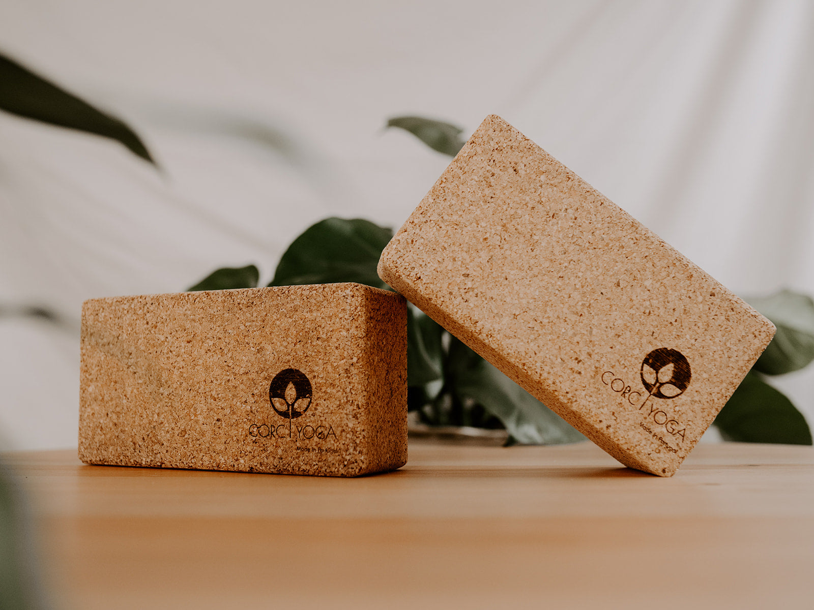 Balance : Cork Yoga Block : Regular | Corc Yoga