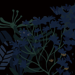 Kit Night Garden | [ comfort zone ]