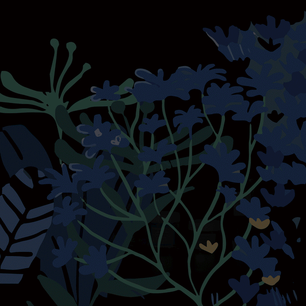 Kit Night Garden | [ comfort zone ]