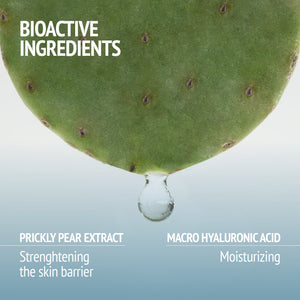 Kit Night Garden | [ comfort zone ]