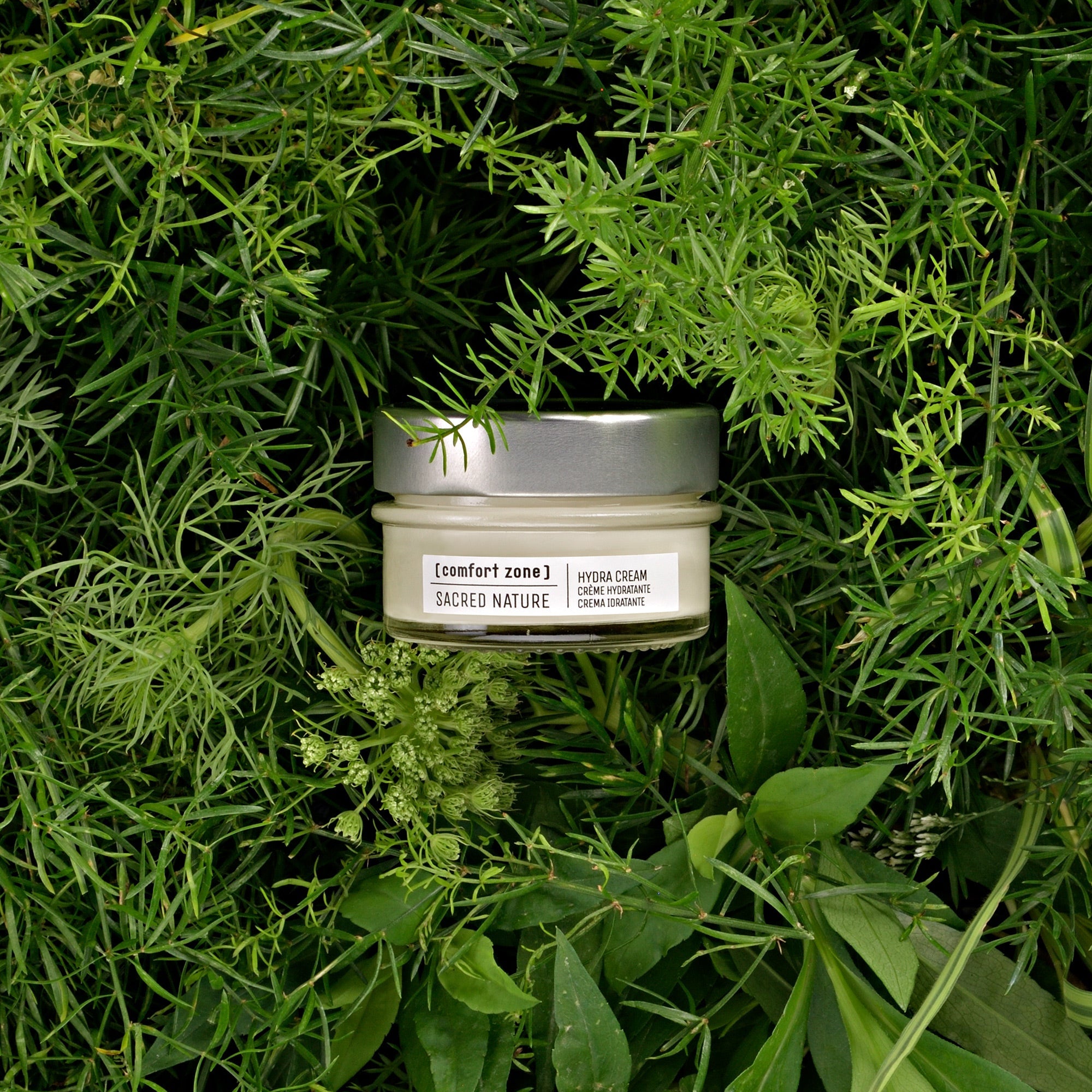 Sacred Nature Hydra Cream | [ comfort zone ]