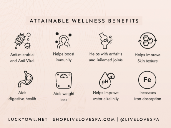 Hammered Copper Bottle (24oz) | Lucky Owl