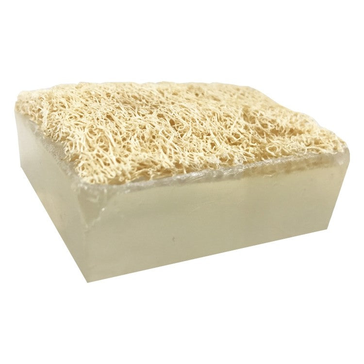 Loofah Bar Soaps 5.0 oz. | Primal Elements
